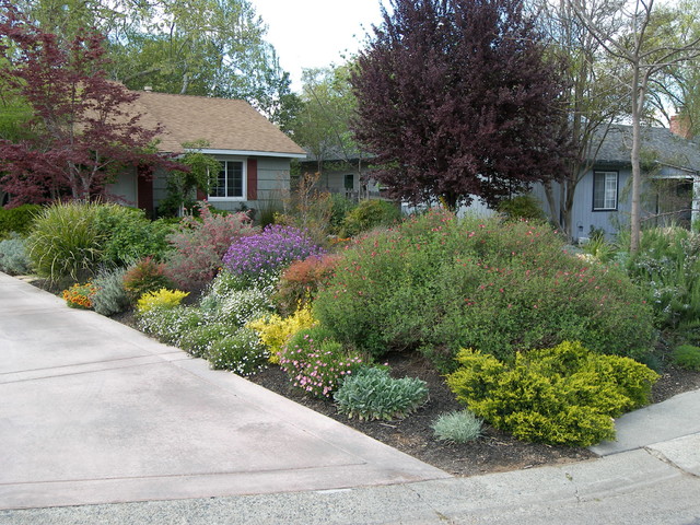 After No Lawn Garden Sacramento, Landscape Design Sacramento