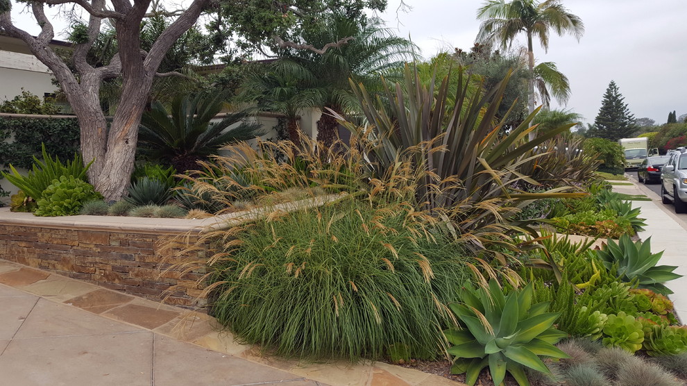 This is an example of a contemporary front yard landscaping in Orange County.