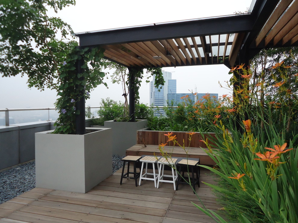 Пример оригинального дизайна: солнечный участок и сад среднего размера на крыше в стиле модернизм с хорошей освещенностью и настилом