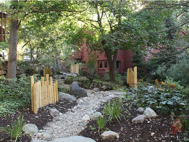 This is an example of a world-inspired garden in Minneapolis.