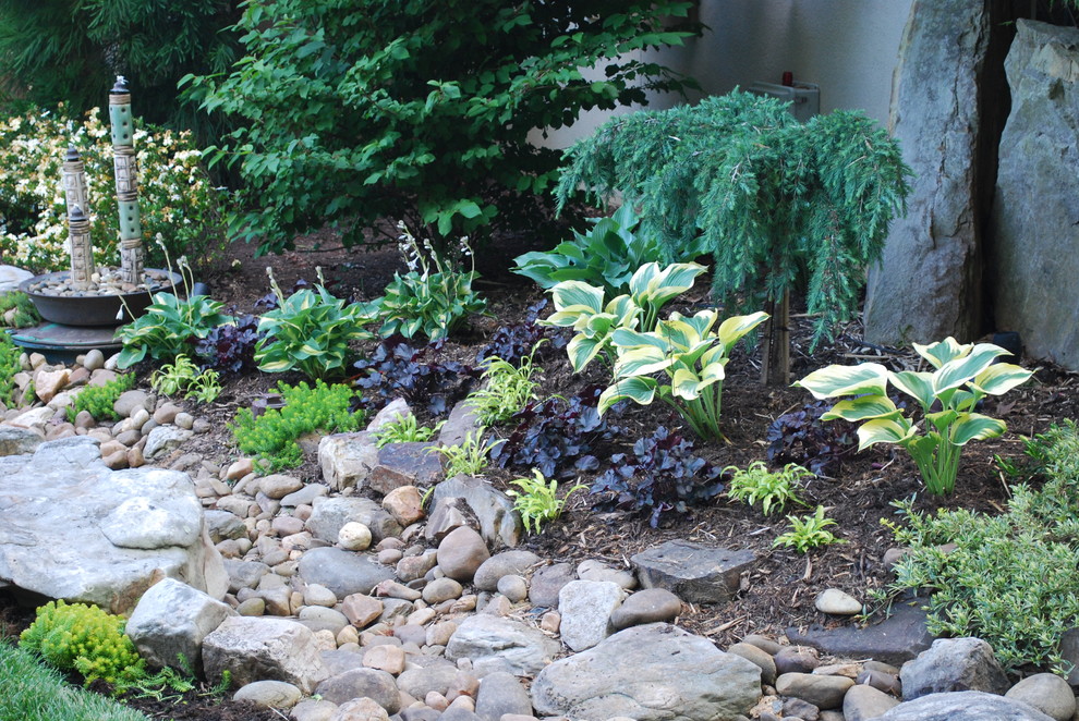 Contemporary garden in Charlotte.