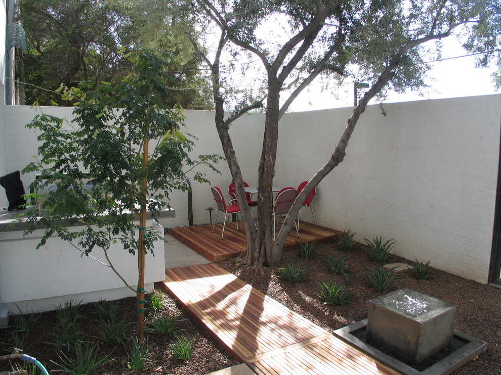 Foto di un piccolo giardino xeriscape moderno esposto a mezz'ombra dietro casa con fontane e pavimentazioni in cemento