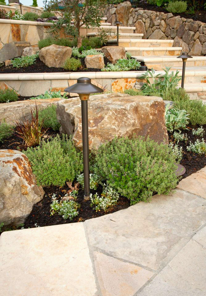 Alamo House I Mediterranean Landscape San Francisco by CK