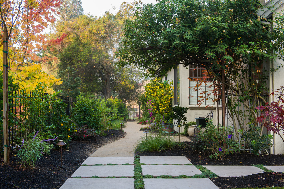 Mittelgroßer Klassischer Garten neben dem Haus mit direkter Sonneneinstrahlung und Betonboden in San Francisco