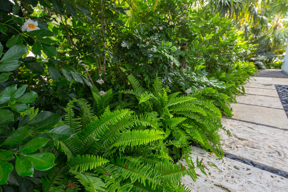 Photo of a mid-sized coastal full sun front yard stone formal garden in Miami.