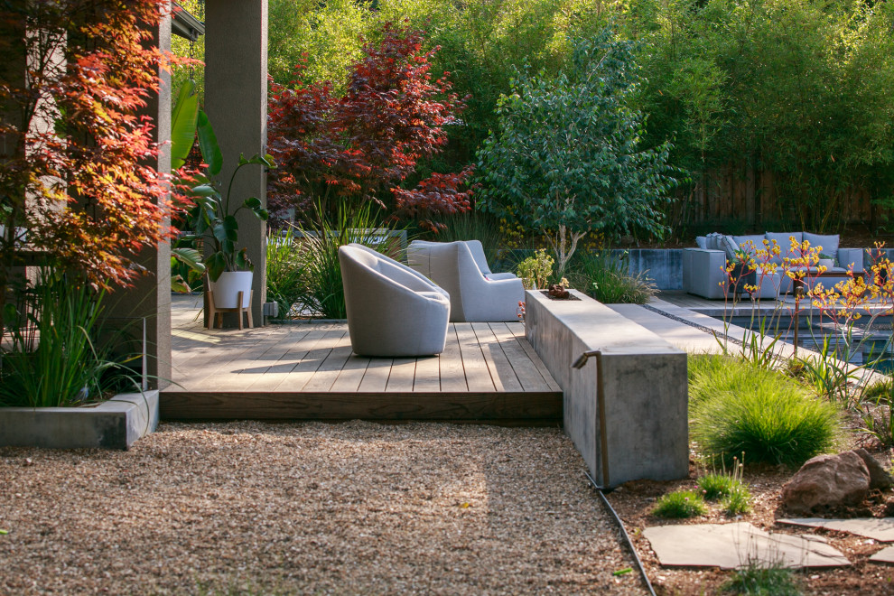 Design ideas for a large modern backyard landscaping in San Francisco.