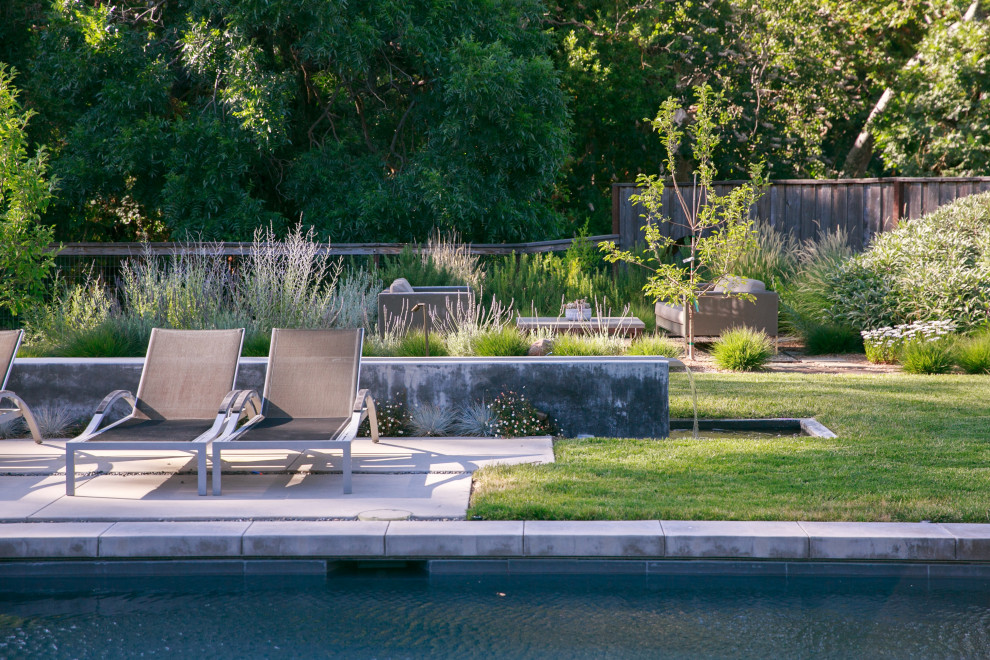Идея дизайна: большой участок и сад на заднем дворе в стиле модернизм