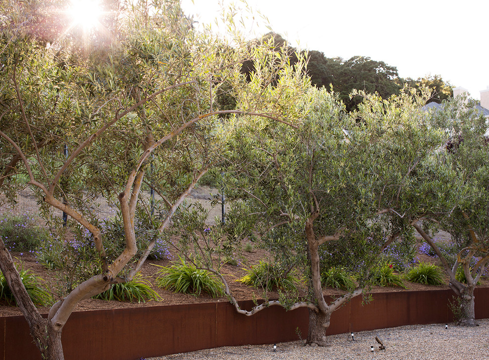 Inspiration for a transitional landscaping in San Francisco.