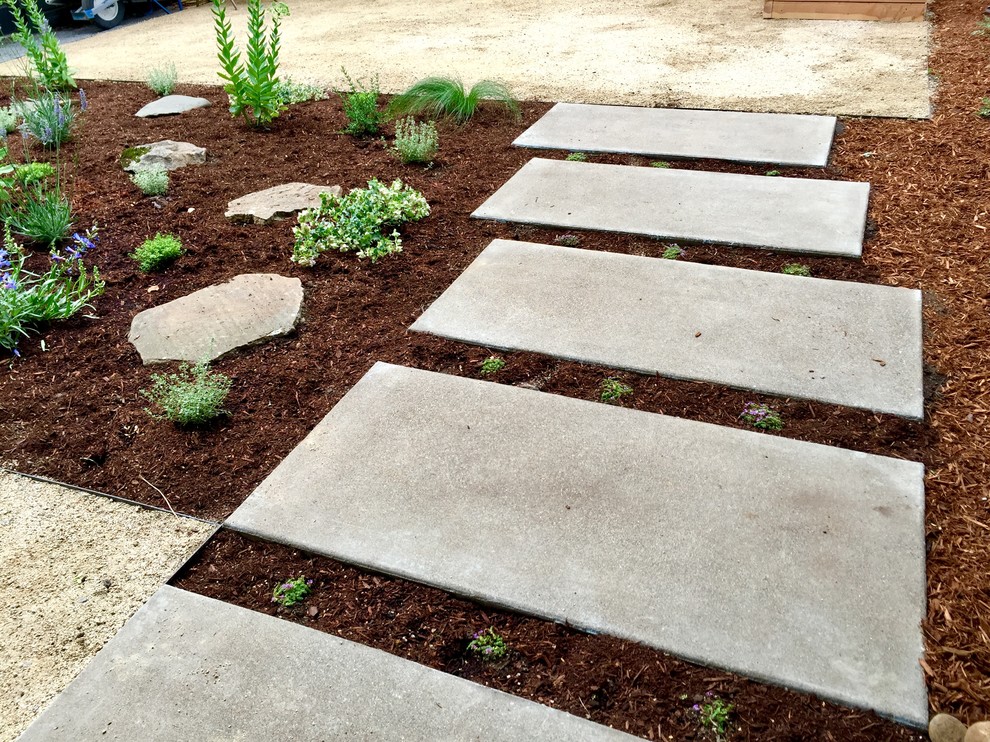 Foto di un piccolo giardino xeriscape minimal esposto in pieno sole dietro casa con pavimentazioni in cemento