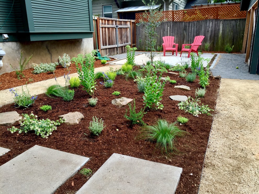 Immagine di un piccolo giardino xeriscape contemporaneo esposto in pieno sole dietro casa con pavimentazioni in cemento