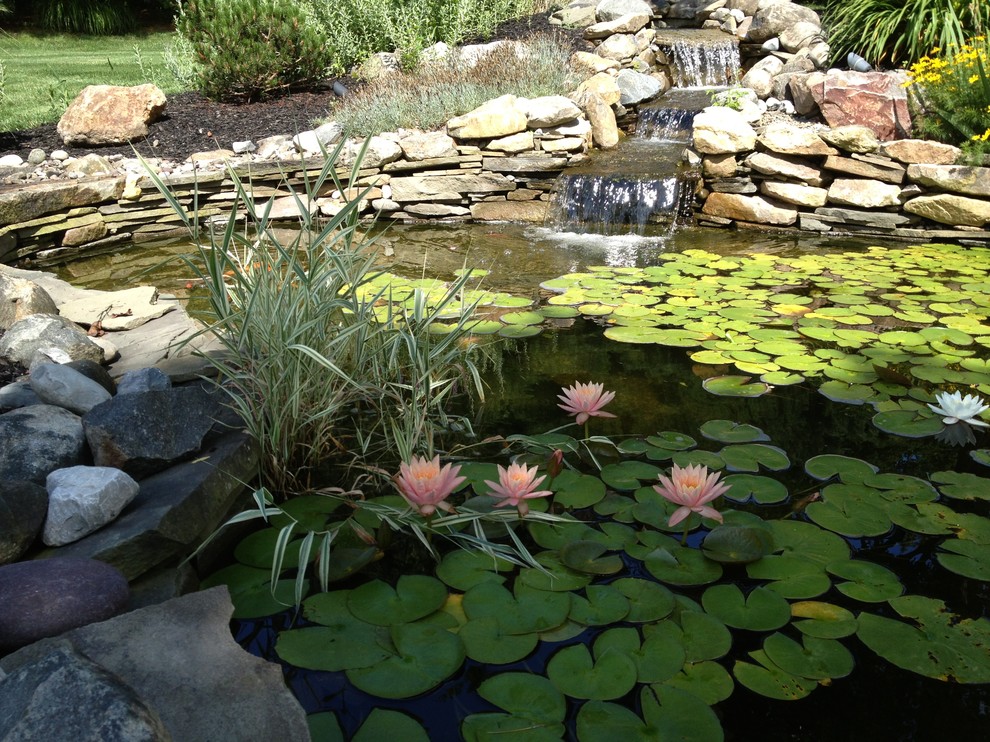 This is an example of a medium sized rustic back partial sun garden for summer in Philadelphia with a pond and natural stone paving.