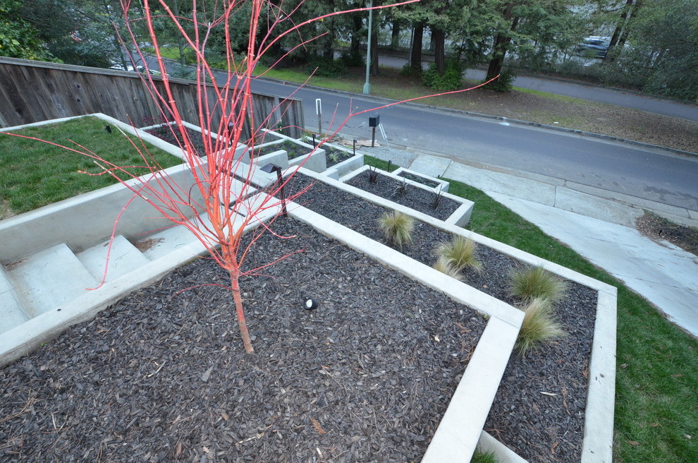 Esempio di un giardino minimalista esposto a mezz'ombra di medie dimensioni e davanti casa in primavera con un muro di contenimento e pavimentazioni in cemento