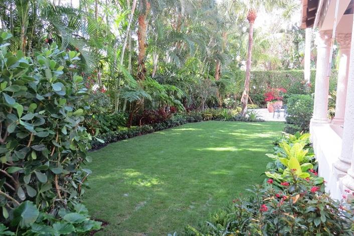 Geometrischer, Mittelgroßer, Halbschattiger Garten hinter dem Haus in Miami