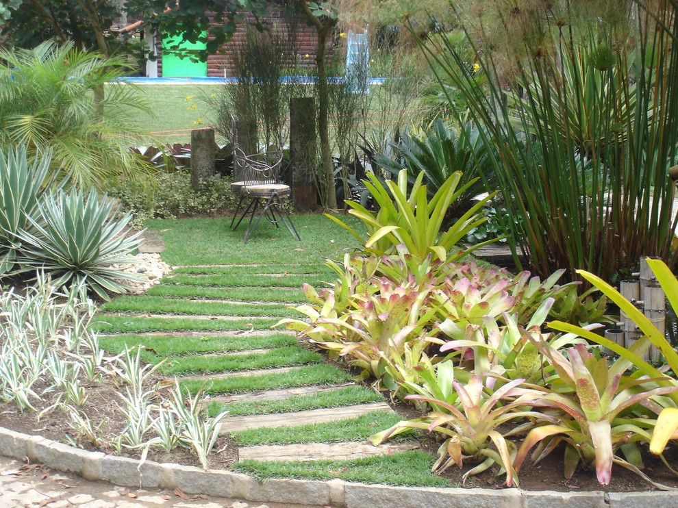 Exempel på en exotisk trädgård
