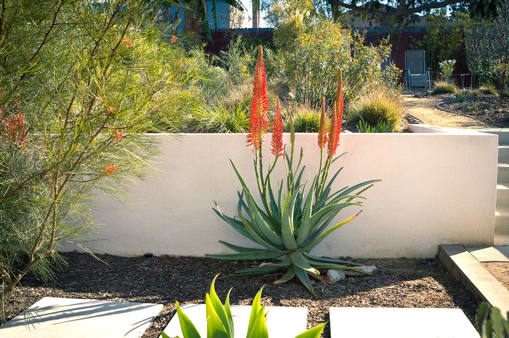 На фото: засухоустойчивый сад среднего размера на заднем дворе в современном стиле с подпорной стенкой