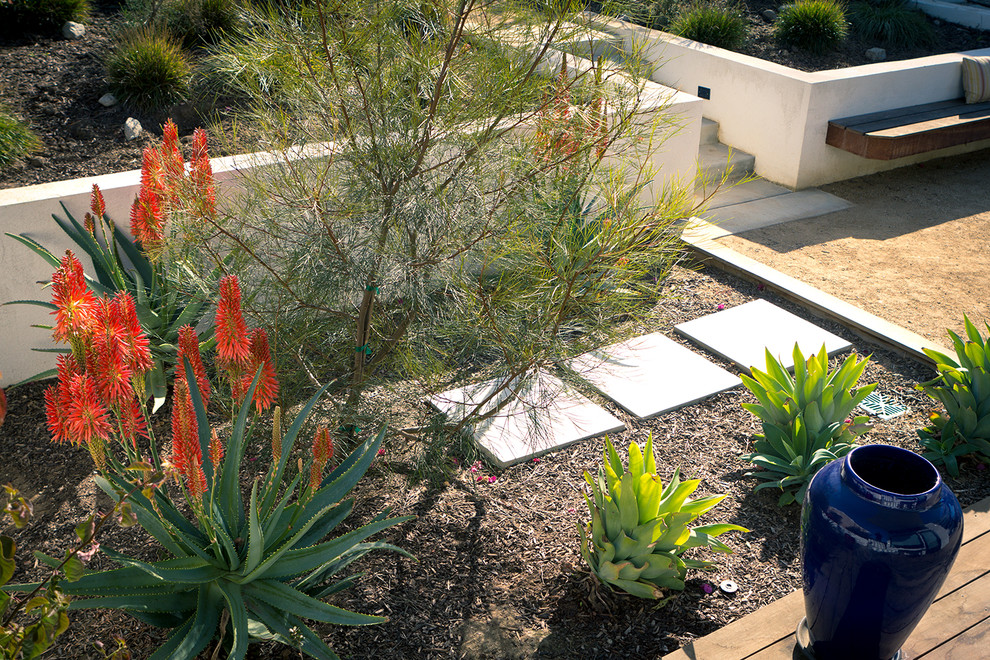 Imagen de jardín de secano contemporáneo pequeño en patio trasero con muro de contención y adoquines de hormigón