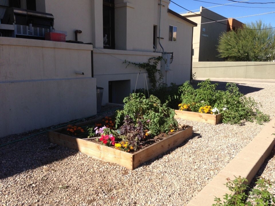 Idées déco pour un petit jardin en pots latéral classique l'été avec une exposition partiellement ombragée et un gravier de granite.