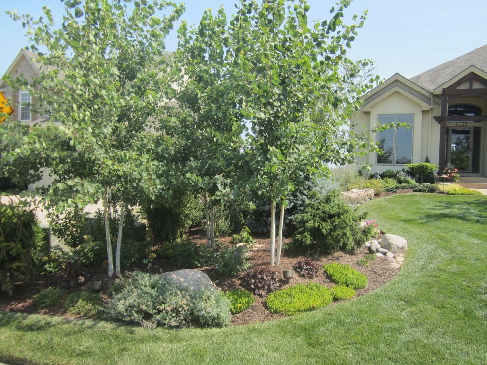 Alpine Landscape - Traditional - Landscape - Kansas City - by Red Oak 