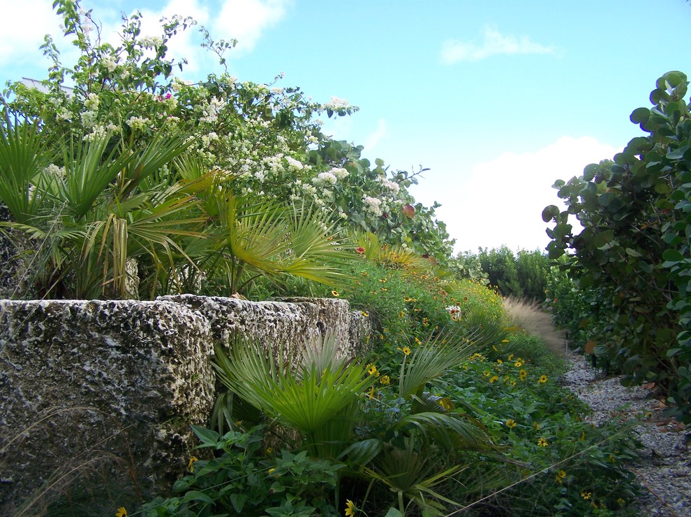 Imagen de jardín tropical en patio trasero con gravilla
