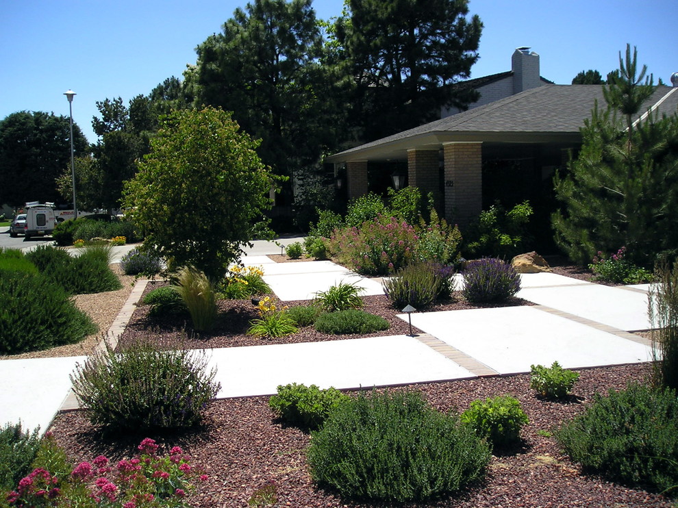 Design ideas for a contemporary garden in Albuquerque.
