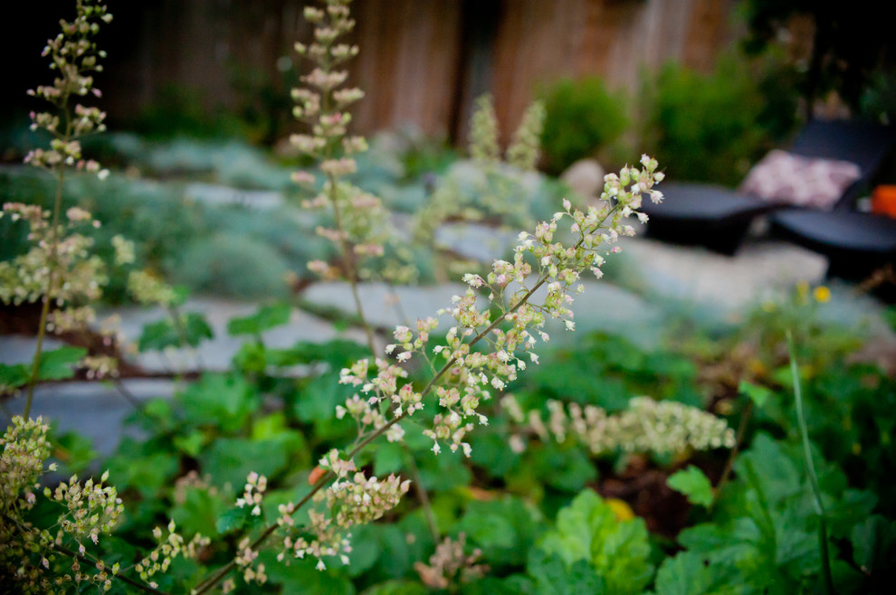 This is an example of a transitional drought-tolerant and shade landscaping in Los Angeles for spring.