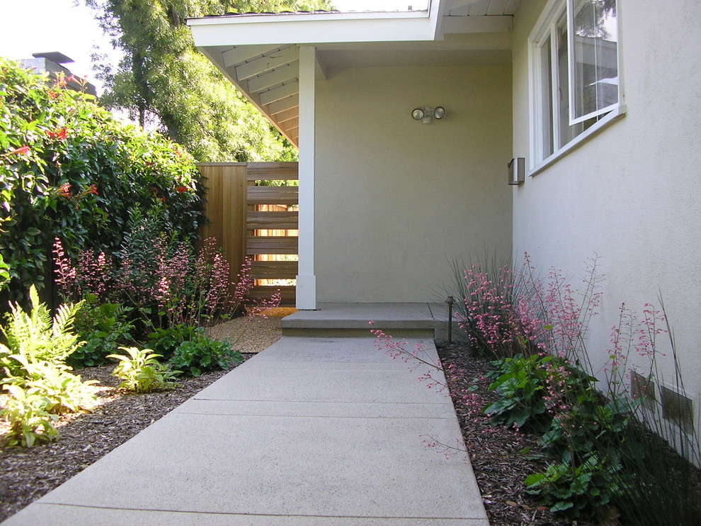 Nautical front partial sun garden for spring in Los Angeles with concrete paving.