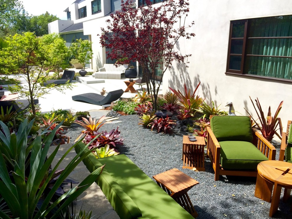 Foto di un giardino xeriscape minimal esposto a mezz'ombra di medie dimensioni e dietro casa con un ingresso o sentiero e ghiaia