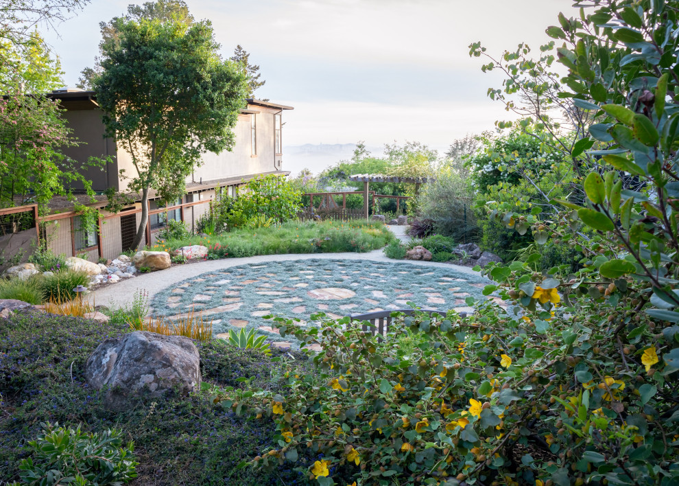Foto di un grande giardino xeriscape minimal esposto in pieno sole dietro casa in primavera con un focolare e pavimentazioni in pietra naturale