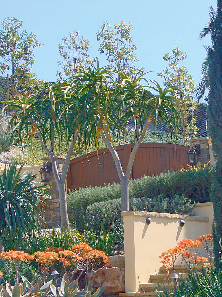 Moderner Garten in Orange County