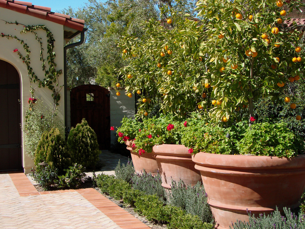 Design ideas for a mediterranean front yard vegetable garden landscape in Los Angeles.