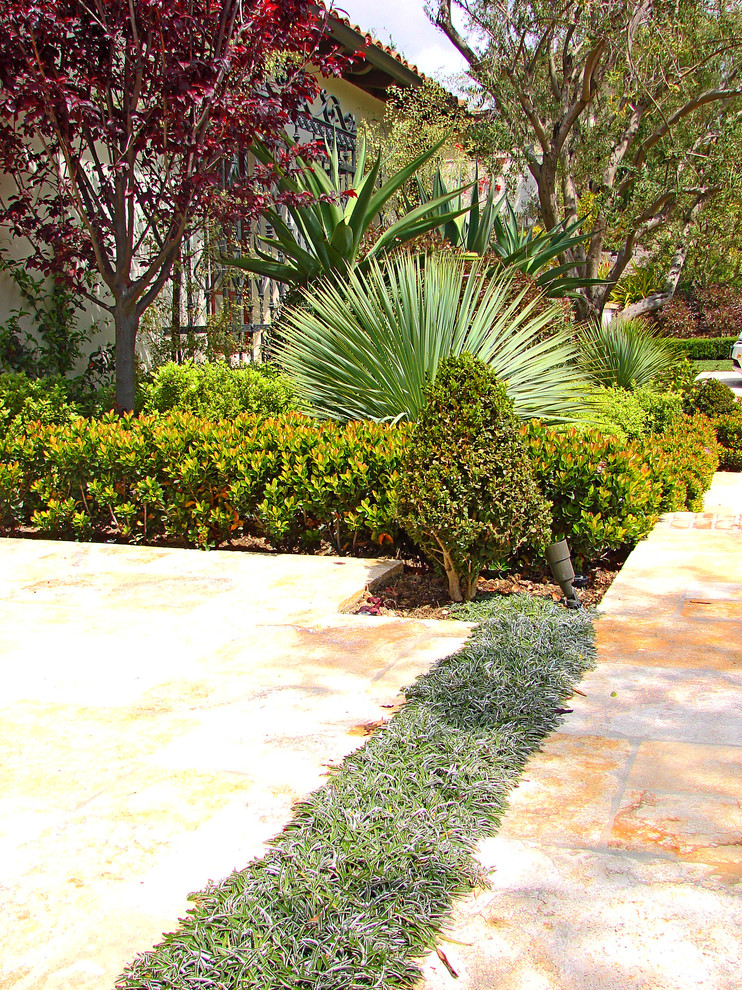 This is an example of a mediterranean landscaping in Orange County.
