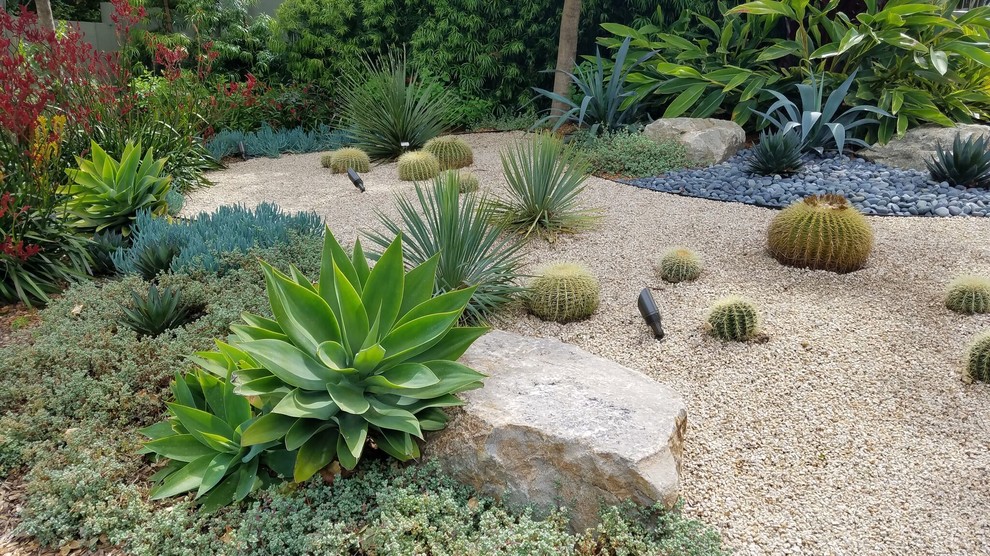 Immagine di un grande giardino xeriscape chic esposto in pieno sole davanti casa con pavimentazioni in cemento