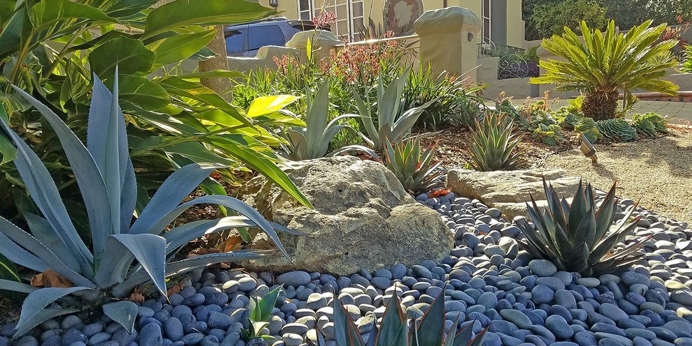 Foto di un grande giardino xeriscape classico esposto in pieno sole davanti casa con pavimentazioni in cemento