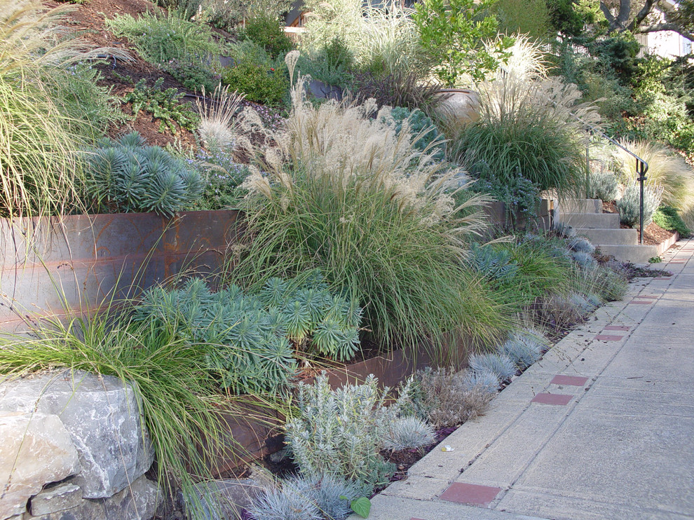 Пример оригинального дизайна: большой весенний регулярный сад на заднем дворе в современном стиле с полуденной тенью и мощением тротуарной плиткой