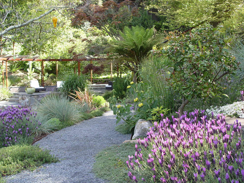 Стильный дизайн: большой весенний регулярный сад на заднем дворе в современном стиле с покрытием из гравия и полуденной тенью - последний тренд