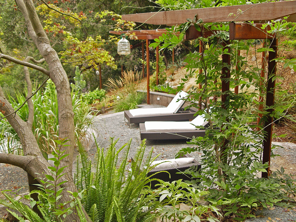 サンフランシスコにある高級な広い、春のコンテンポラリースタイルのおしゃれな庭 (半日向、砂利舗装) の写真
