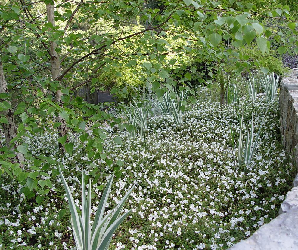 Idee per un grande giardino formale contemporaneo esposto a mezz'ombra dietro casa in primavera con ghiaia