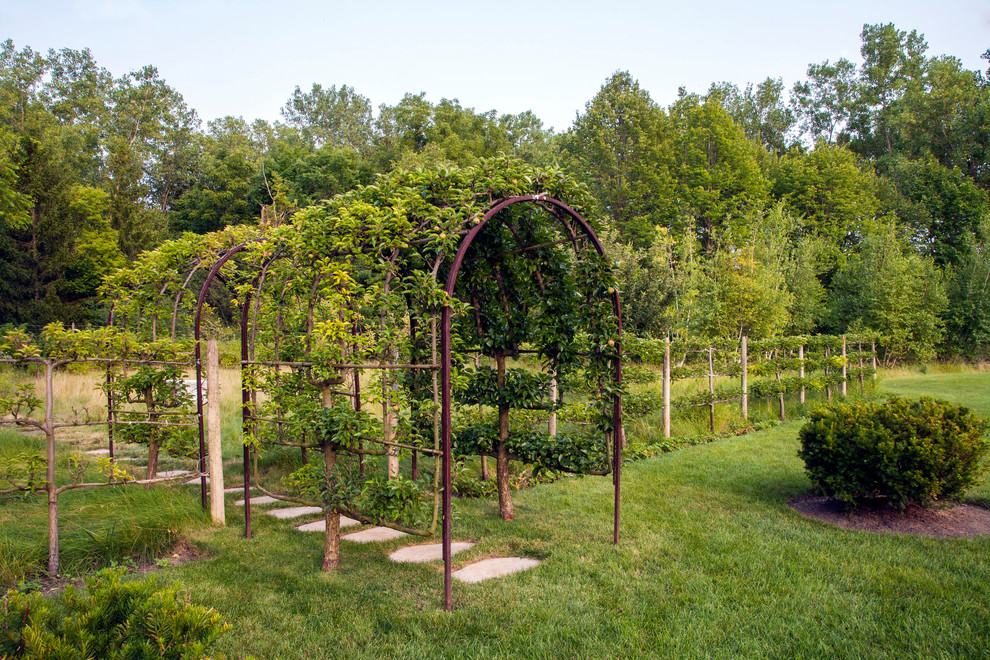 Idee per un grande giardino classico esposto in pieno sole dietro casa in estate