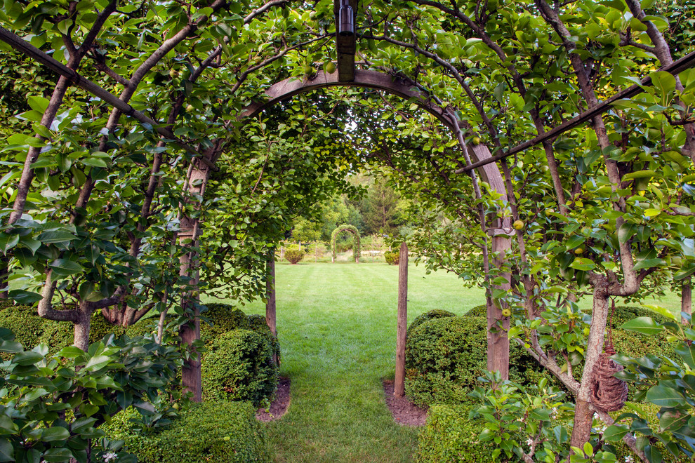 Réalisation d'un grand jardin arrière tradition l'été.