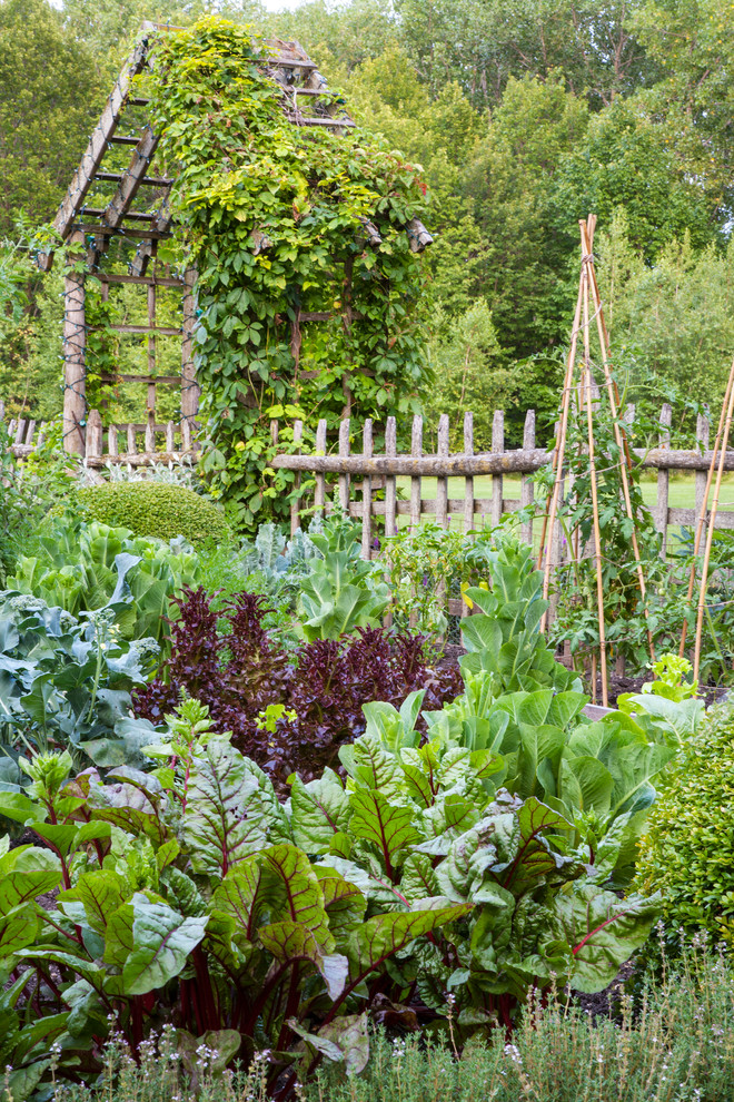 Idées déco pour un jardin arrière classique l'été avec une exposition ensoleillée.