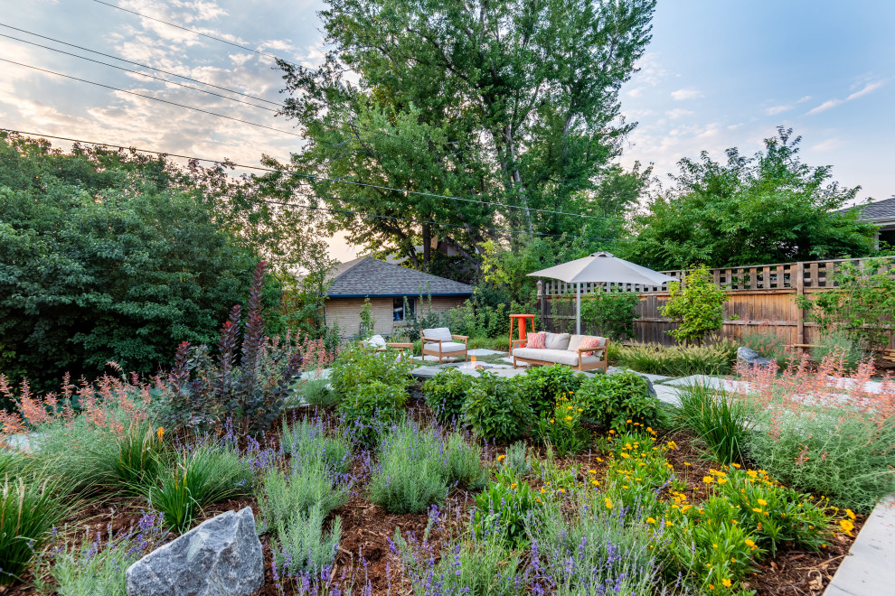 Photo of a contemporary garden in Denver.