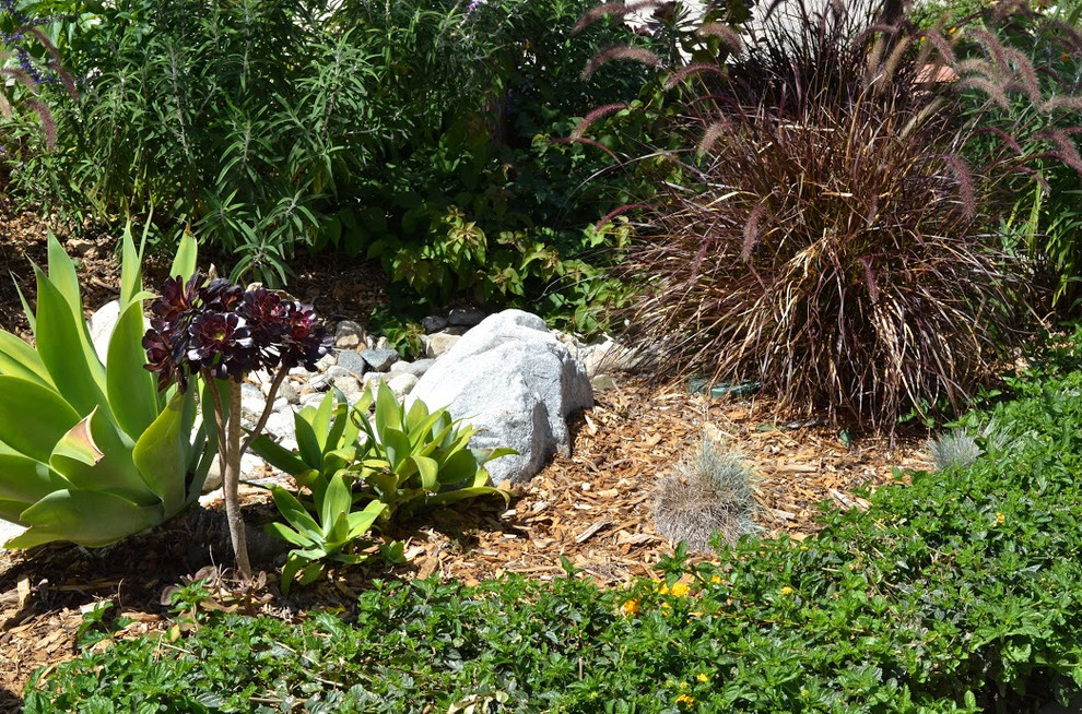 Inspiration pour un grand jardin arrière méditerranéen l'été avec une exposition partiellement ombragée et des pavés en béton.