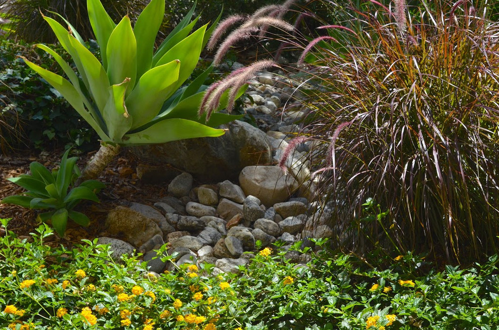 На фото: большой летний засухоустойчивый сад на заднем дворе в средиземноморском стиле с садовой дорожкой или калиткой, полуденной тенью и мощением тротуарной плиткой с