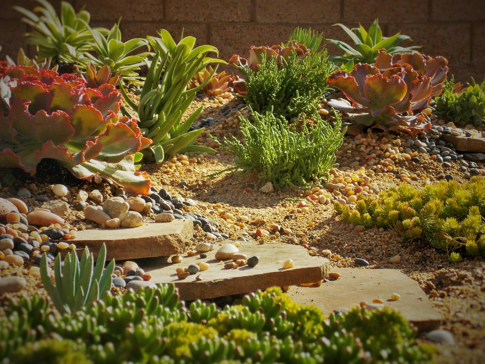 Diseño de jardín de secano costero en primavera en patio delantero con exposición parcial al sol y gravilla