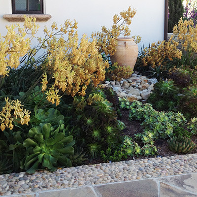 Inspiration for a traditional garden in Los Angeles.