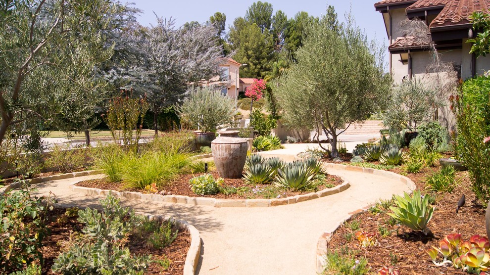 Esempio di un grande giardino xeriscape boho chic esposto in pieno sole in cortile in estate con un ingresso o sentiero e ghiaia