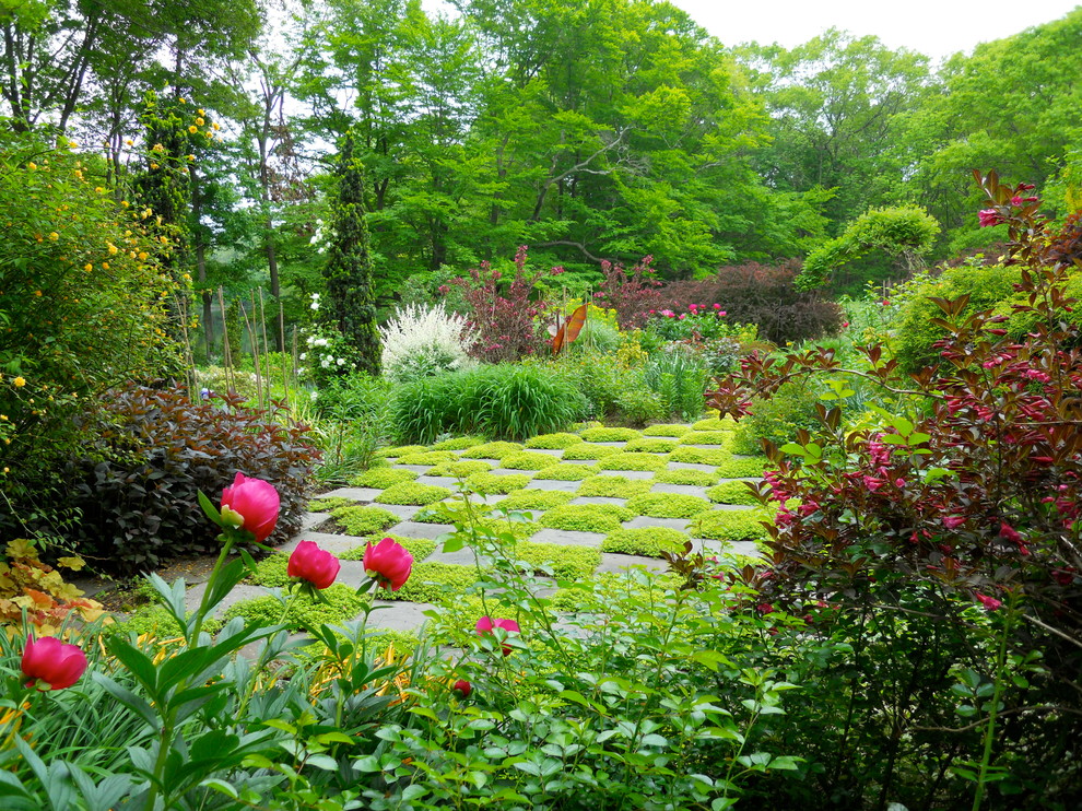 Photo of a medium sized bohemian back full sun garden in Providence with a garden path.