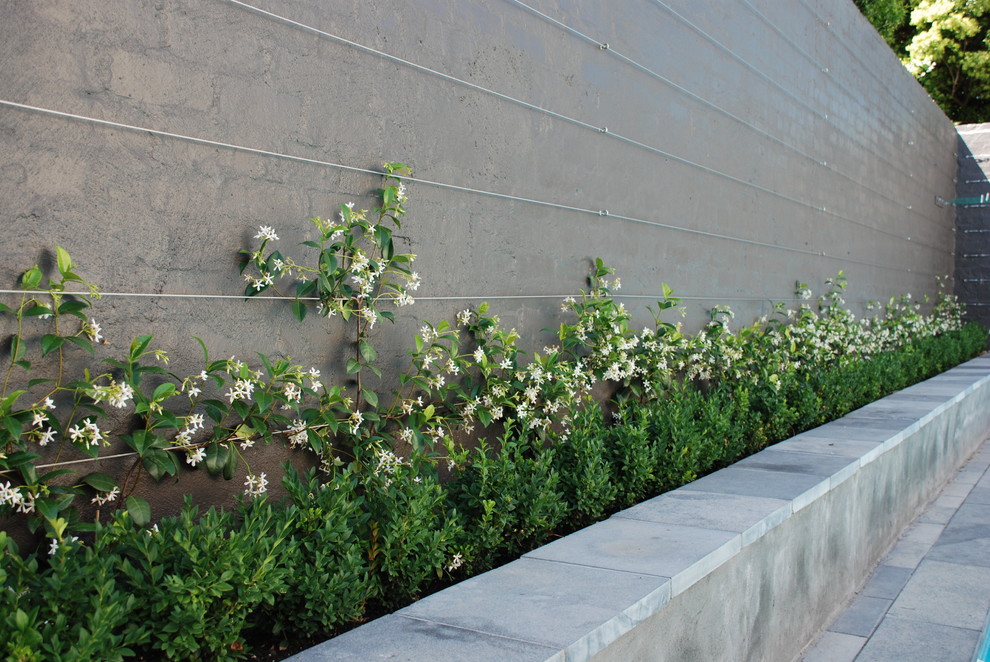 Photo of a traditional landscaping.