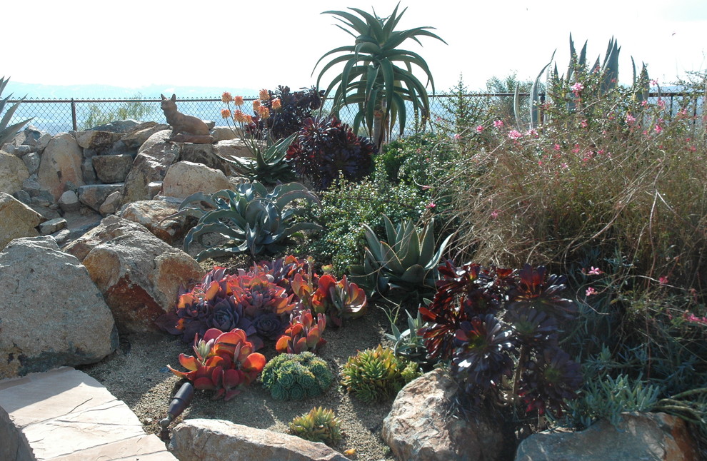 Design ideas for a traditional landscaping in San Diego.