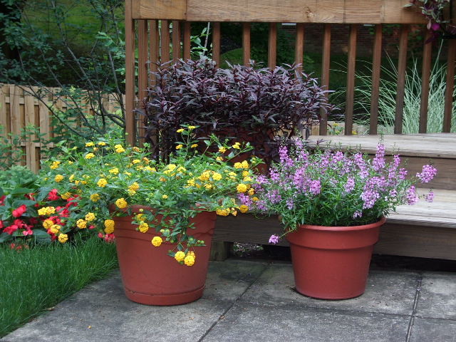 Idées déco pour un petit jardin en pots arrière classique avec une exposition ensoleillée et des pavés en pierre naturelle.